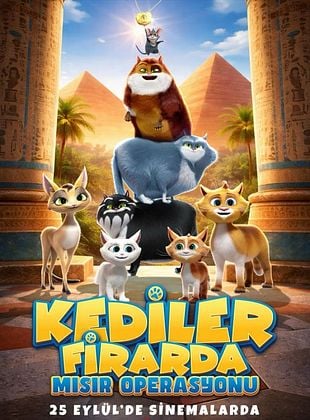 Kediler Firarda: Mısır Operasyonu