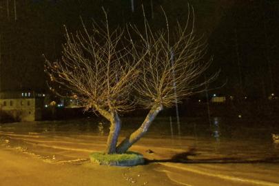 Bartın'da yağış ırmağı taşırdı