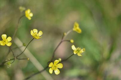 Cemre düşüyor, bahar yaklaşıyor
