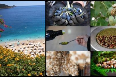 Coğrafi işaret başvurusunda Antalya, tescilinde Hatay zirvede yer aldı