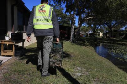 Halk ellerinde demir kafeslerle avlamaya çıktı. Bayılan, ölen sokakta; binlercesi toplandı