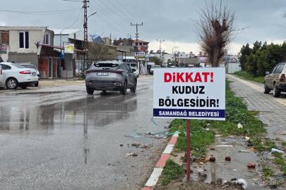 Hatay'da kuduz vakası nedeniyle 4 mahalle karantinaya alındı