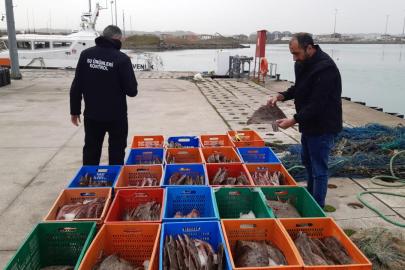 Kaçak avlanan 850 kilo kalkan balığına el konuldu