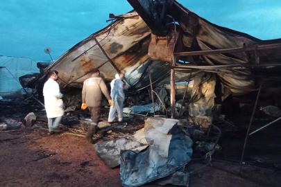 Antalya'da 6 kişinin öldüğü konteyner yangınıyla ilgili 1 tutuklama