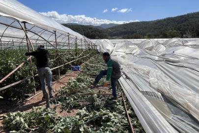 Antalya'da hortum seralara zarar verdi
