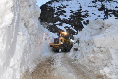 Bitlis'te çığ yolu kapattı, ekipler seferber oldu