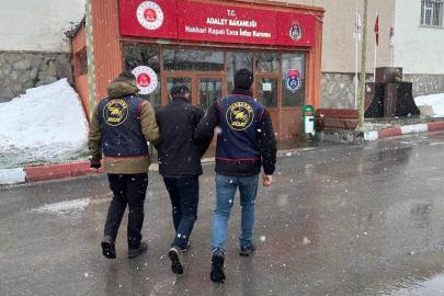 Hükümlü, jandarmanın ikna çalışmasıyla sınırda teslim oldu