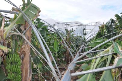 Mersin'de 150 dönüm serayı dolu ve fırtına vurdu