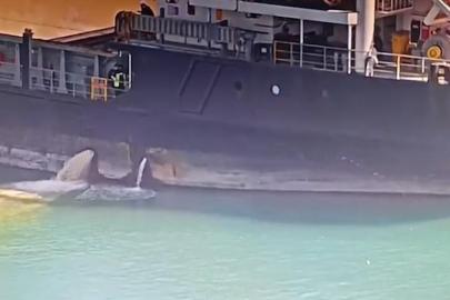 Mersinde denizi kirleten gemiye 13 milyon lira ceza