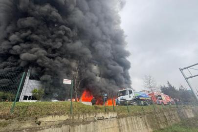 Trabzon'da fındık fabrikası deposunda yangın