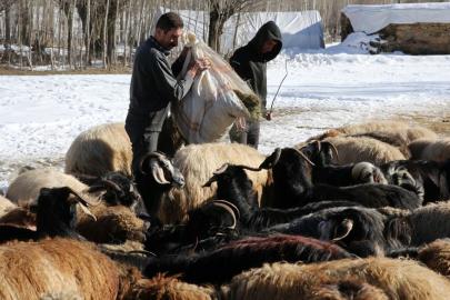 Yerel Kalkınma Hamlesi başvuruları yarın başlıyor