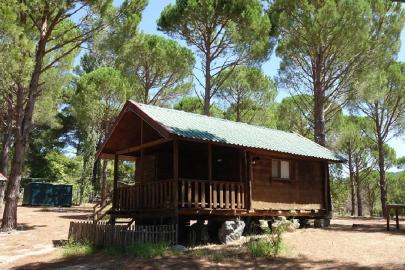 210 milyon dolandıran bungalov çetesine operasyon: 9 tutuklama