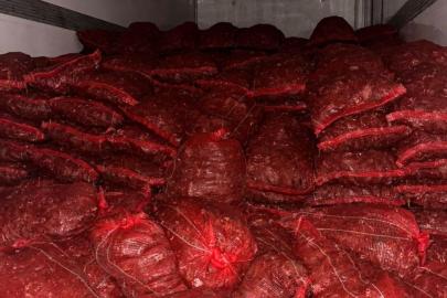 Bursa ve Balıkesir'de 10 ton kaçak midye ele geçirildi