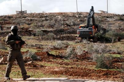 İsrailli işgalciler Batı Şeria'da 400 zeytin ağacını kesti