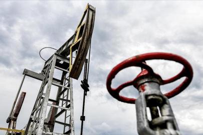 Japonya, mayıs ayında ulusal rezervlerden piyasaya ilave petrol sürmeyi planlıyor