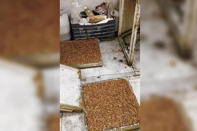 Kötü koku gerçeği ortaya çıkardı: Evden kaçak imalathane çıktı