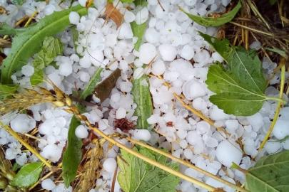 Mayıs ve haziranda dolu riski artıyor