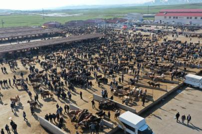 Hayvancılık merkezlerinde bayram hareketliliği arttı