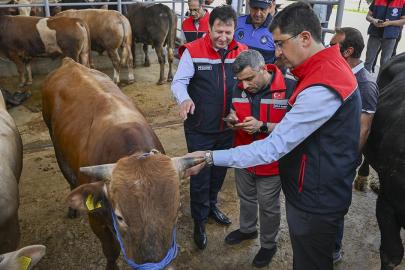 Kurban Bayramı öncesi 4 milyonu aşkın hayvan denetlendi