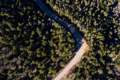 Adana'da ormanlık alanlara girişler yasaklandı