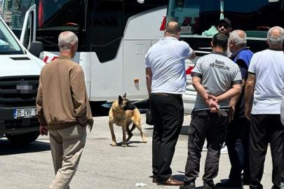 Elazığ'da köpeğin saldırdığı kadın yaralandı