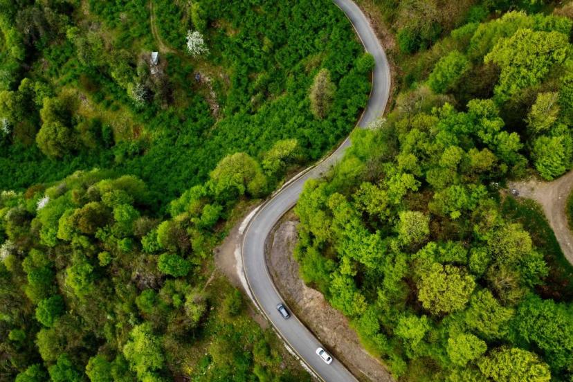 Kahramanmaraş'ta ormanlık alanlara girişler yasaklandı