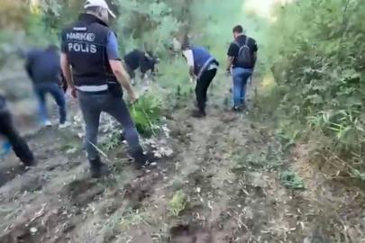 UNESCO Dünya Kültür Mirası Listesi'nde yer alıyordu. Hevsel Bahçeleri'ne uyuşturucu baskını